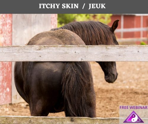 Preventing and Managing Itchy skin