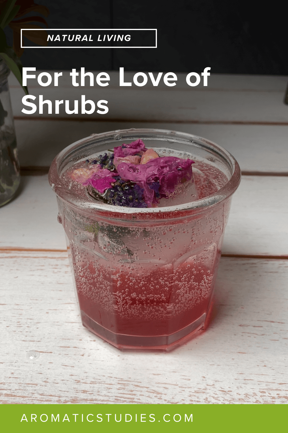 Shrub Love | The School of Aromatic Studies